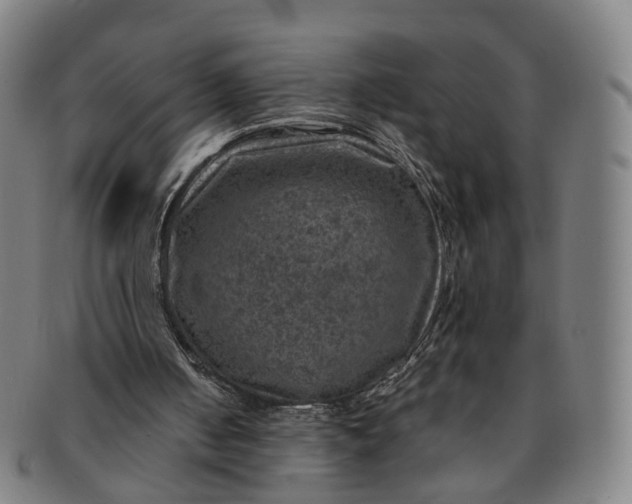 X0000091010050200708241522