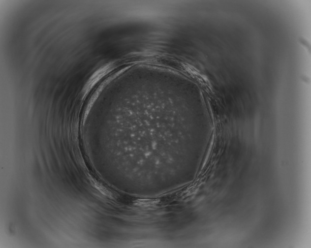 X0000091010051200708241522