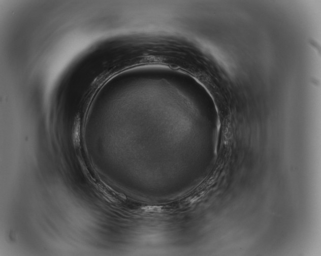 X0000091010052200708241522