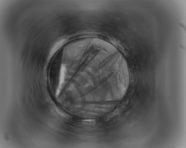 X0000091010053200708241522