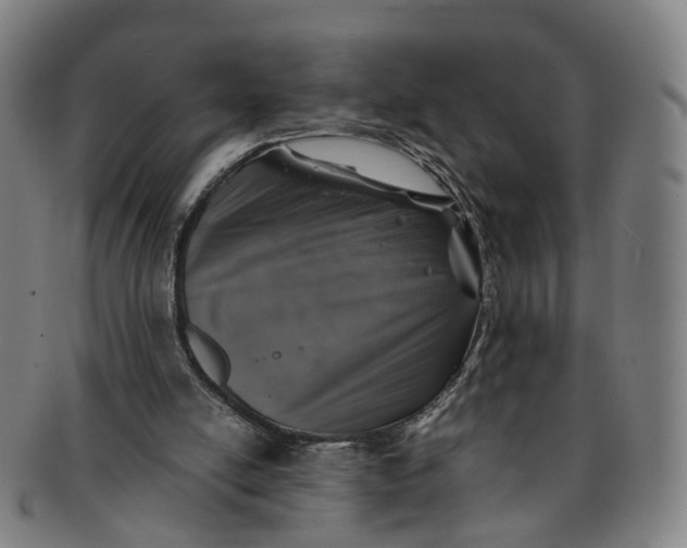 X0000091010054200708241522