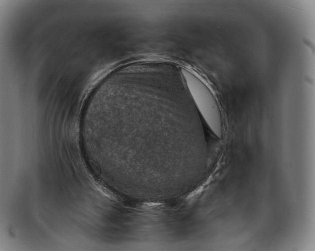 X0000091010055200708241522