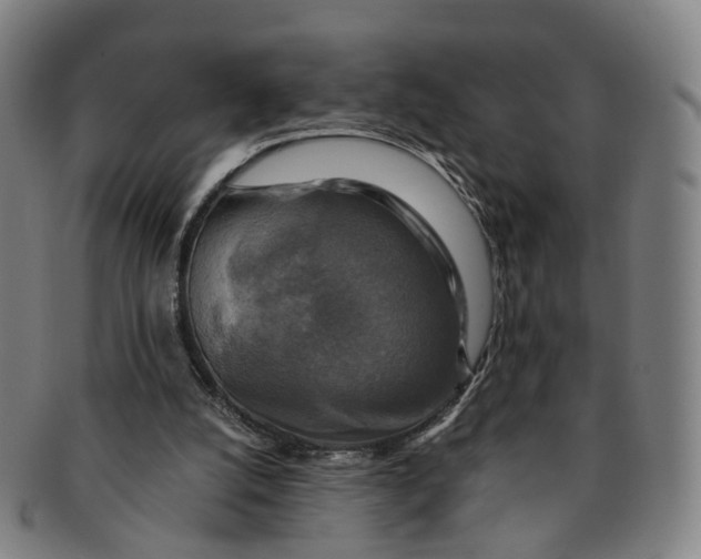 X0000091010056200708241522