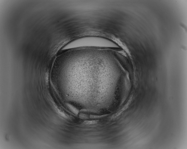 X0000091010057200708241522