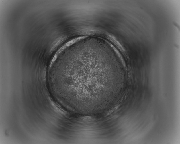 X0000091010058200708241522