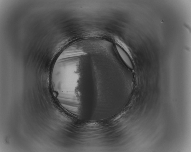 X0000091010059200708241522