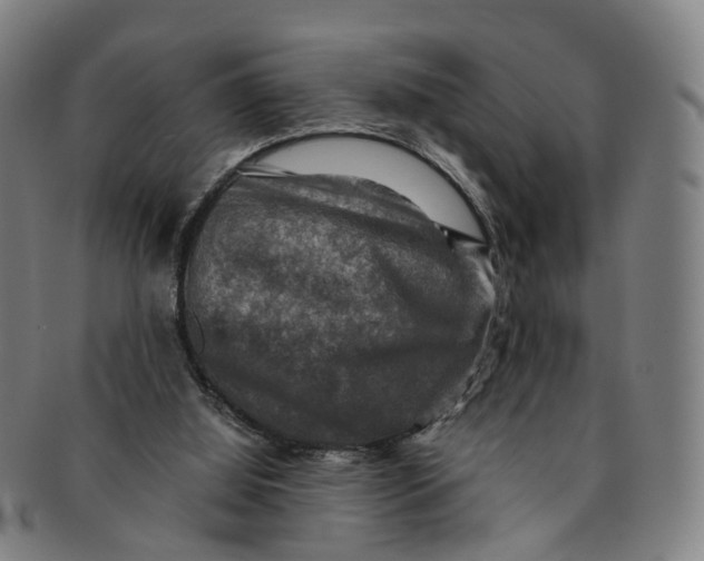 X0000091010060200708241522