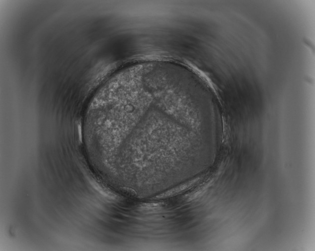 X0000091010061200708241522