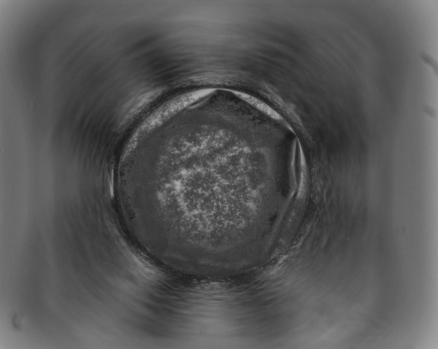 X0000091010062200708241522