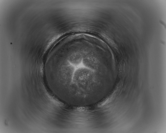 X0000091010064200708241522