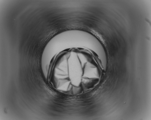 X0000091010065200708241522