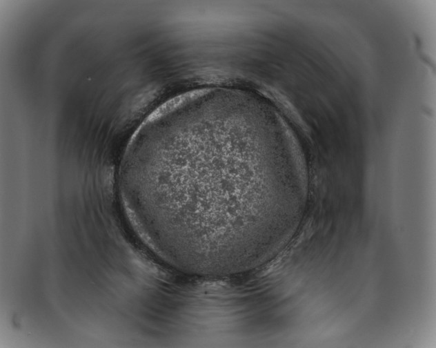 X0000091010066200708241522