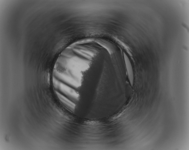 X0000091010067200708241522