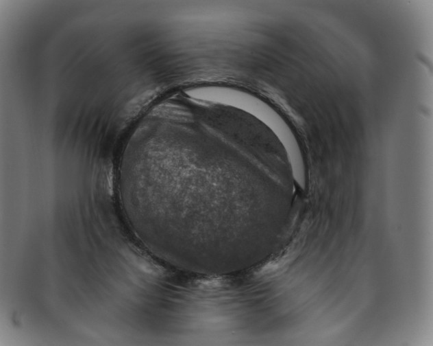 X0000091010068200708241522