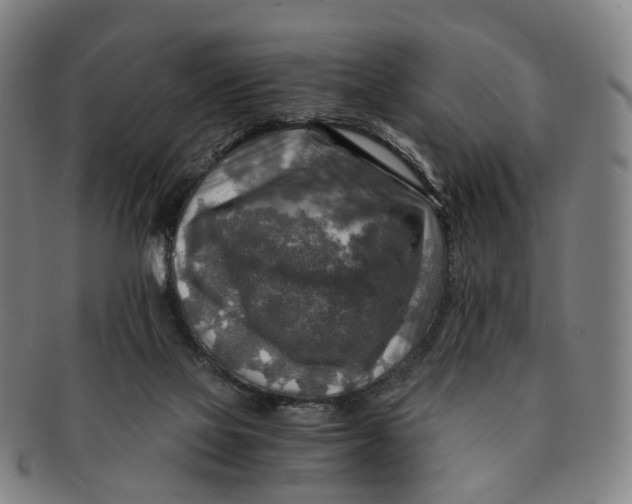 X0000091010069200708241522