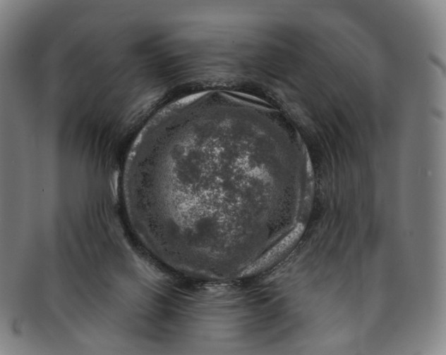 X0000091010070200708241522