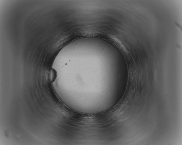 X0000091010071200708241522