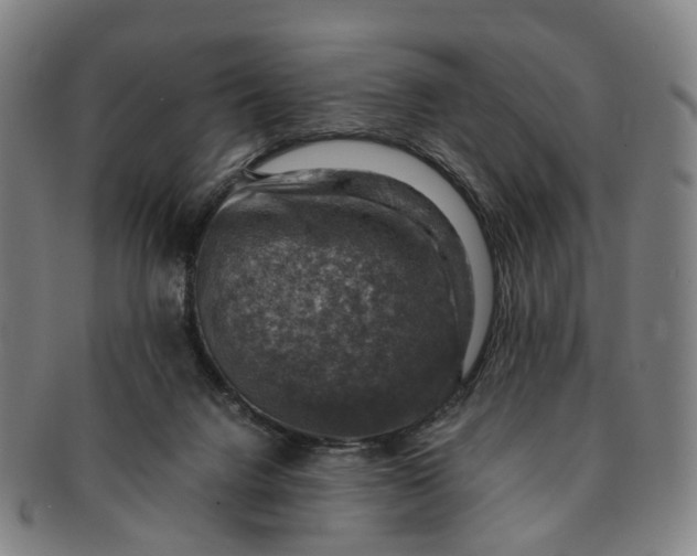 X0000091010072200708241522