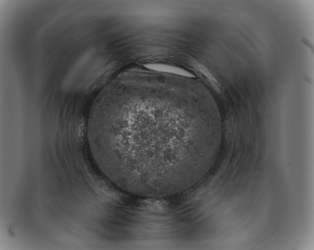 X0000091010073200708241522