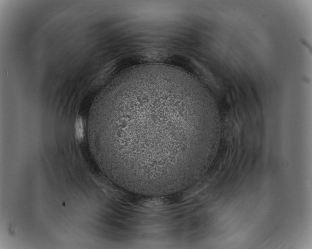 X0000091010075200708241522