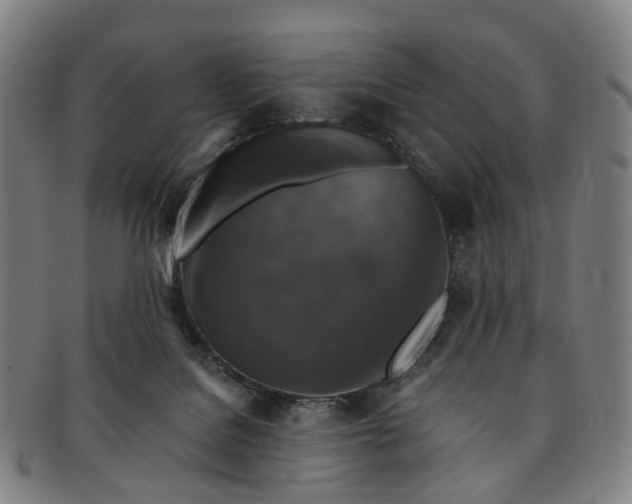 X0000091010076200708241522