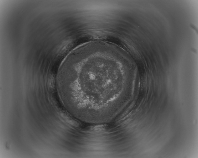 X0000091010078200708241522