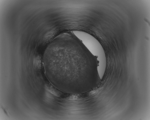 X0000091010080200708241522