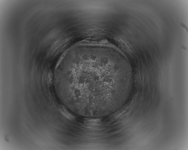 X0000091010081200708241522