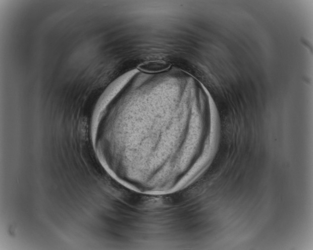 X0000091010083200708241522