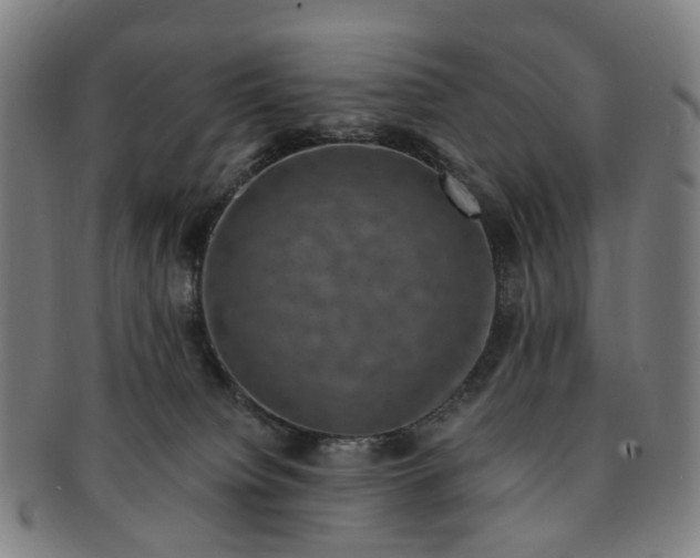 X0000091010084200708241522