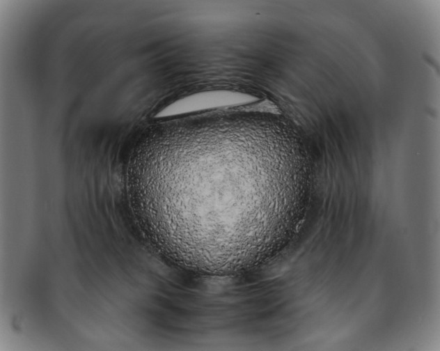 X0000091010085200708241522