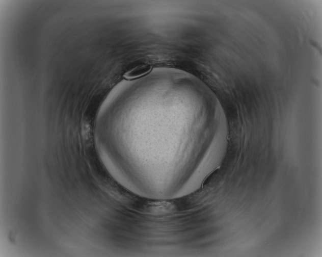 X0000091010087200708241522