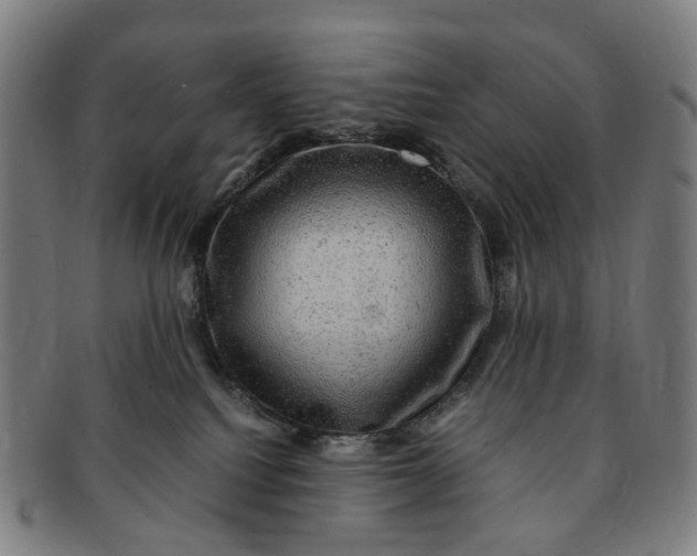 X0000091010088200708241522