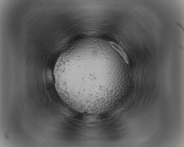 X0000091010089200708241522