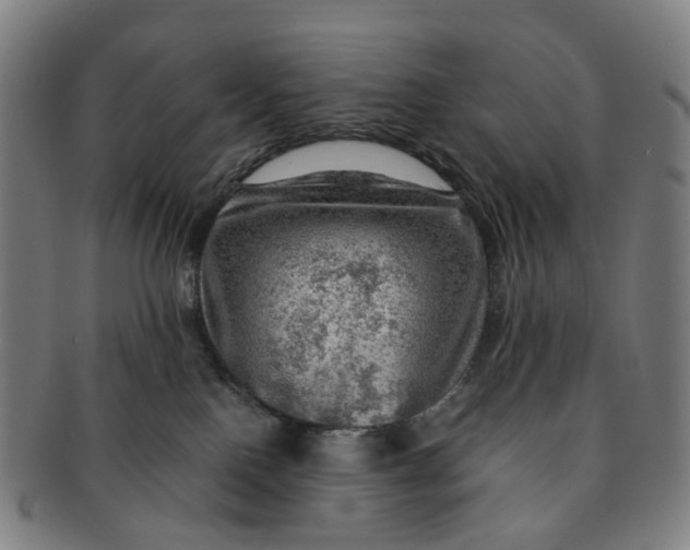 X0000091010090200708241522