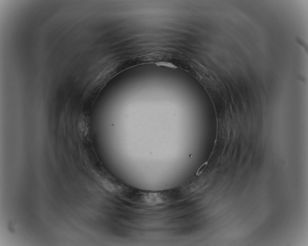 X0000091010091200708241522