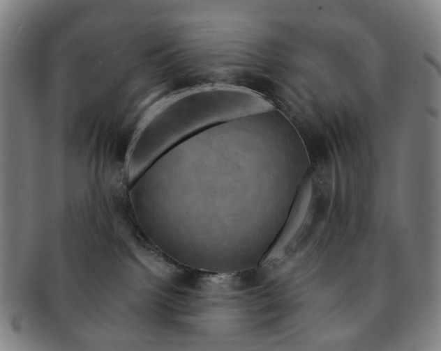 X0000091010092200708241522