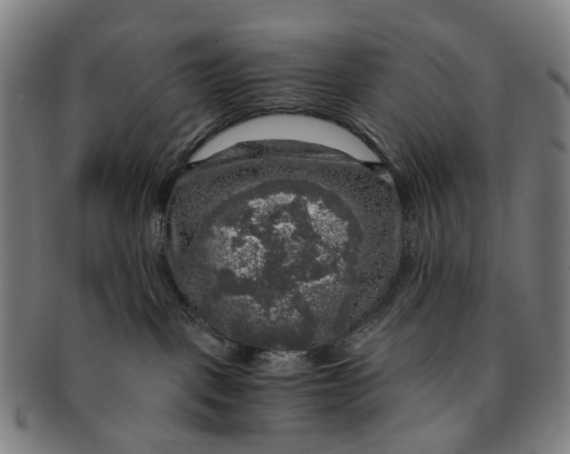 X0000091010093200708241522