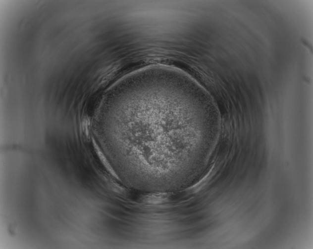 X0000091010094200708241522