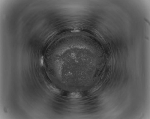 X0000091010095200708241522