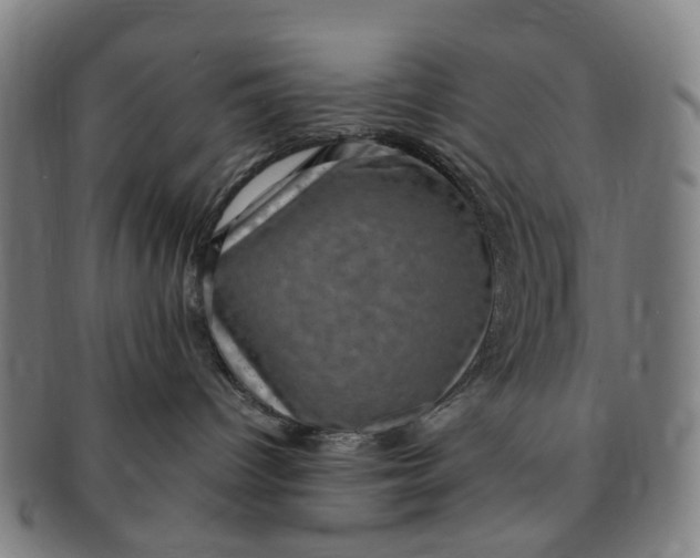 X0000091010096200708241522