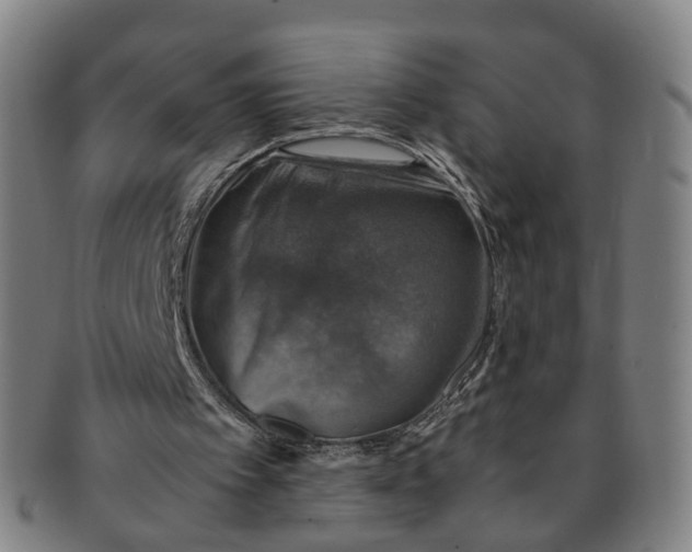 X0000091010097200708241522