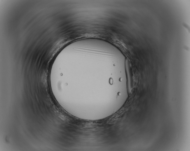 X0000091010098200708241522