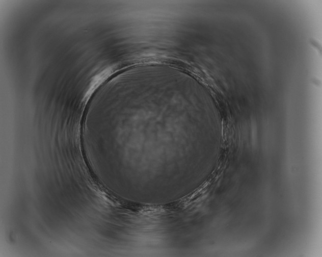 X0000091010099200708241522