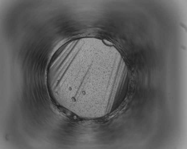 X0000091010100200708241521