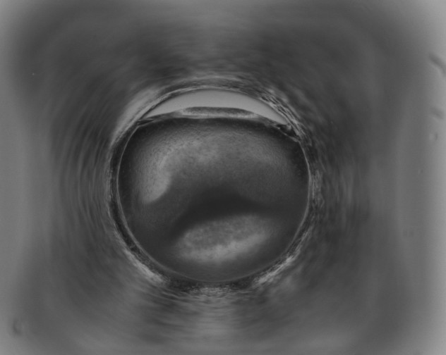 X0000091010101200708241521