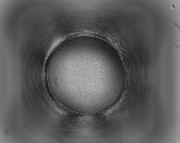 X0000091010102200708241521