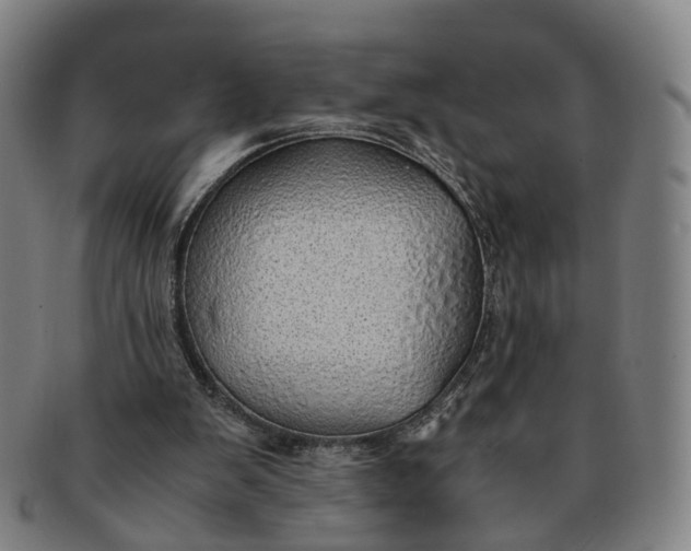 X0000091010103200708241521