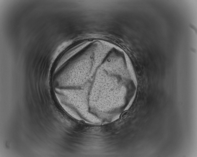 X0000091010104200708241521