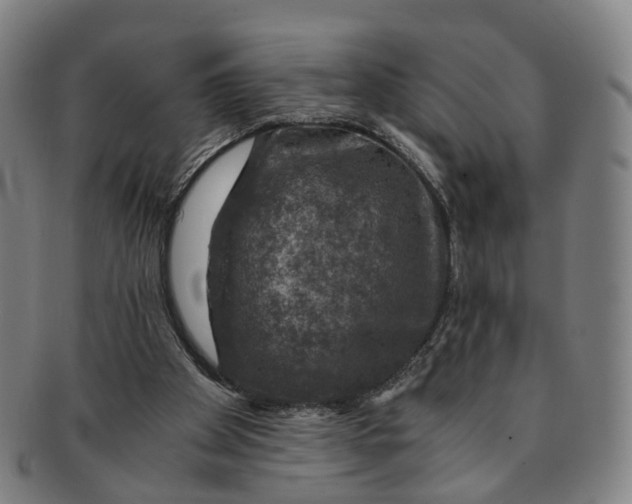 X0000091010105200708241521